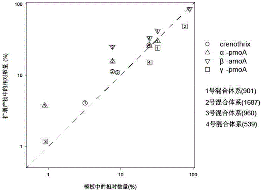 Methane/ ammoxidation bacterial community structure analysis method based on two-step method