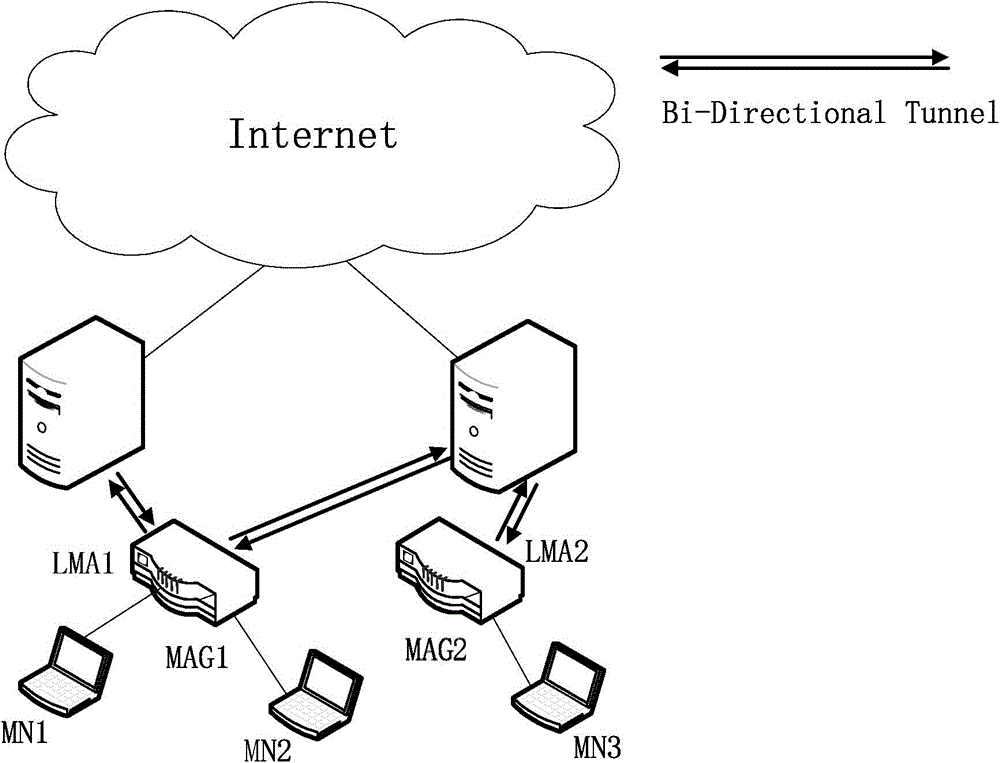 PMIPv6 network bidirectional access authentication system and method based on classification identity signature