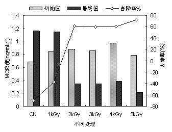 Method for degradation of microcystin in water by means of electron beam irradiation