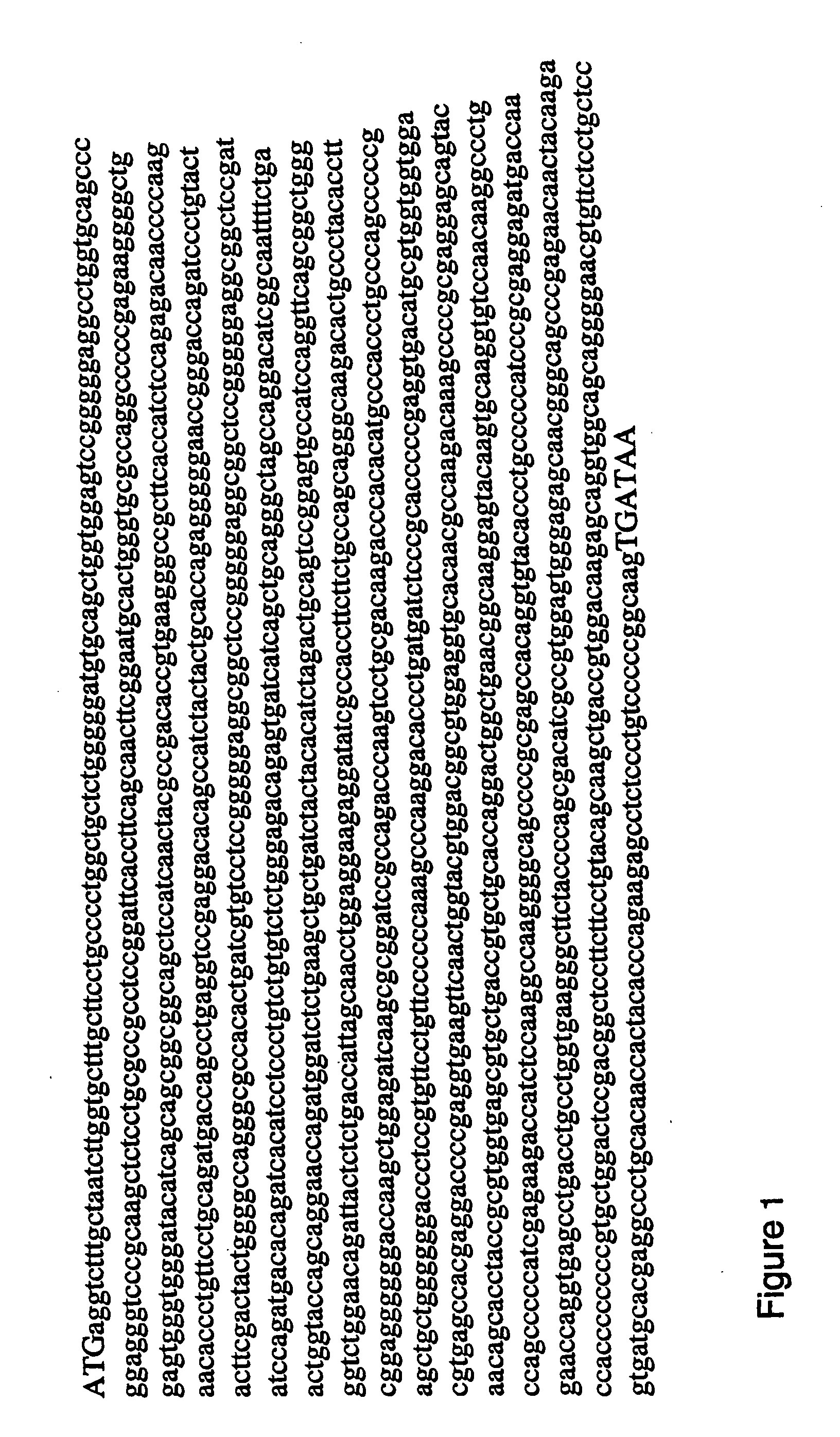 Method for Improved Transgene Expression