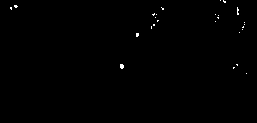 Leuconostoc mesenteroides strain