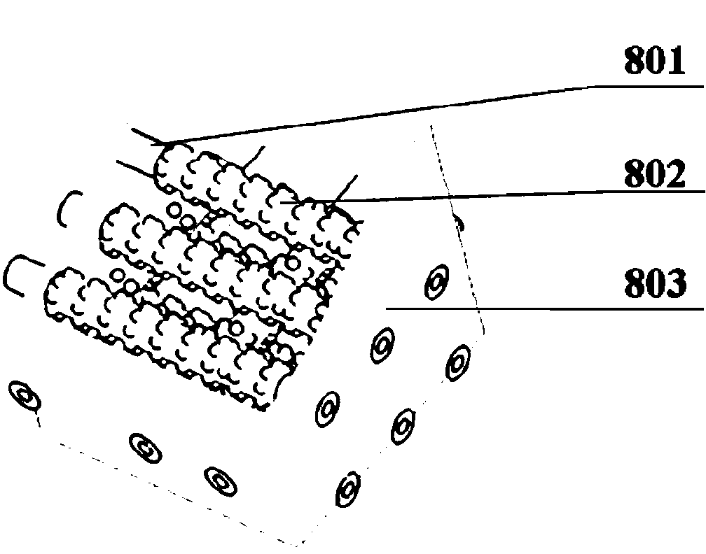 Medical biological tissue structure and preparation method and special device of medical biological tissue structure