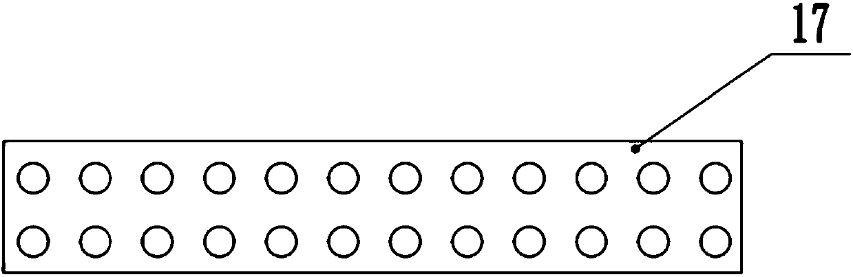 Tea drying device with deironing function