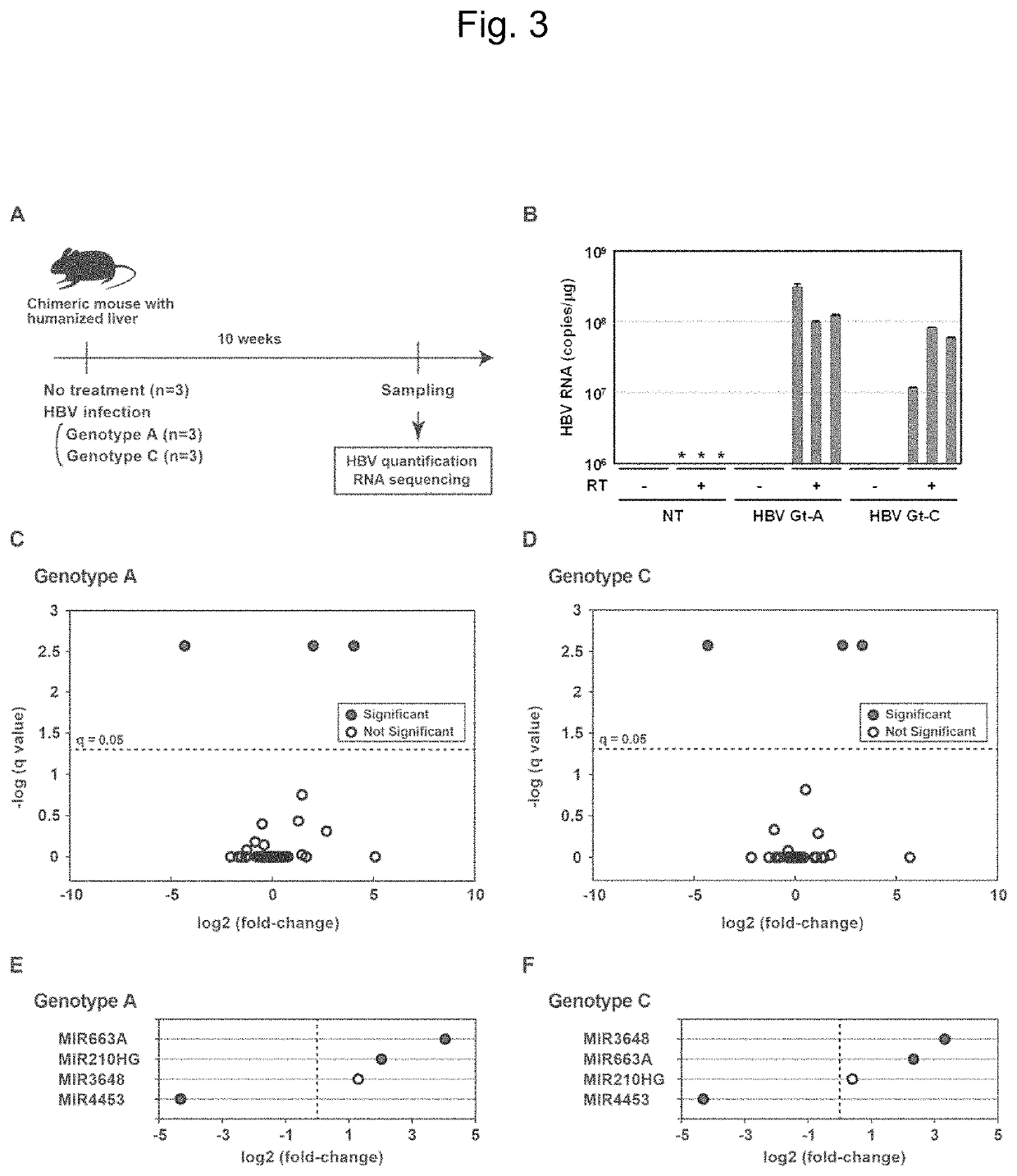 Composition for Inhibiting Replication of Hepatitis B Virus