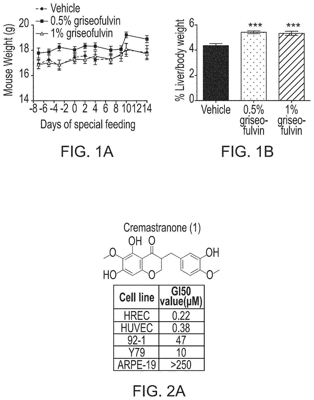 Inhibition of ferrochelatase as an antiangiogenic therapy