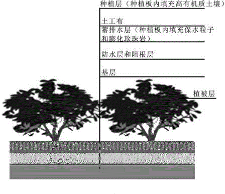 Plant habitat restriction ecological technology for roof greening and three-dimensional greening