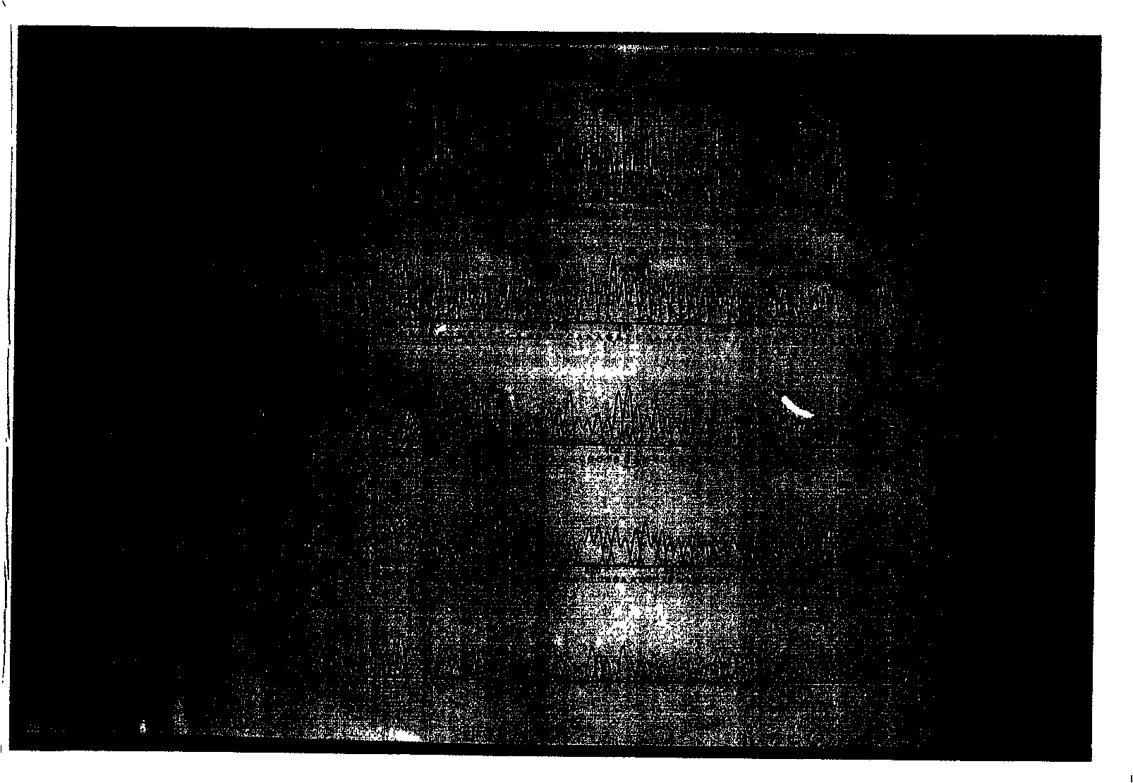 High activity, low antigen glucokinase derivant and preparation method