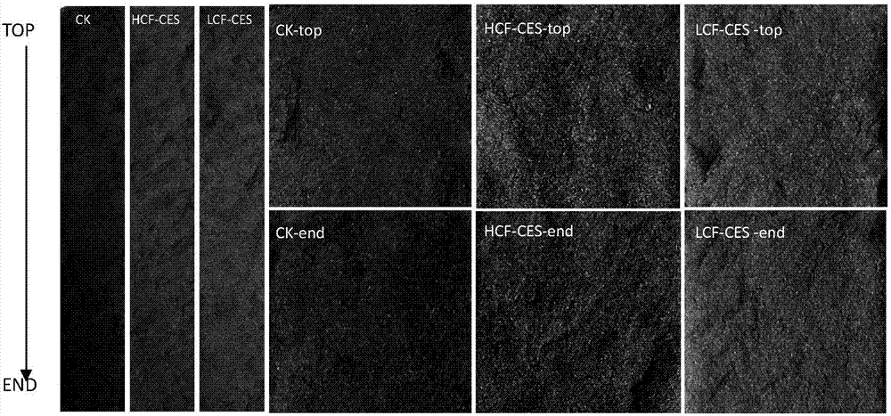 Double-reinforcing oil production method alternately adopting fungus extracellular enzyme and microorganisms