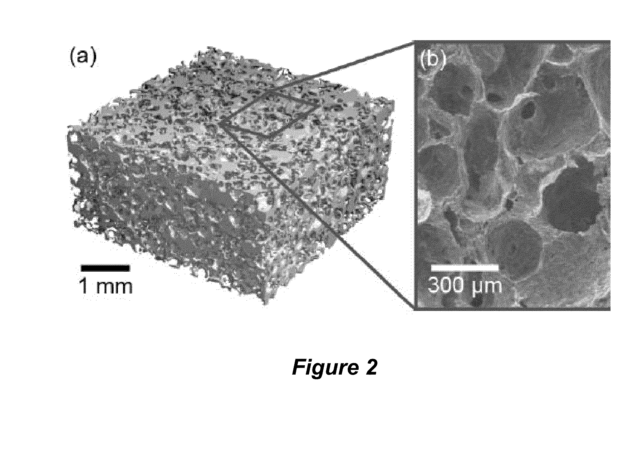 Tissue scaffolds having bone growth factors