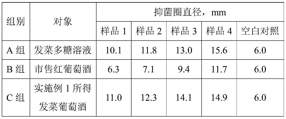 Nostoc wine and preparation method thereof