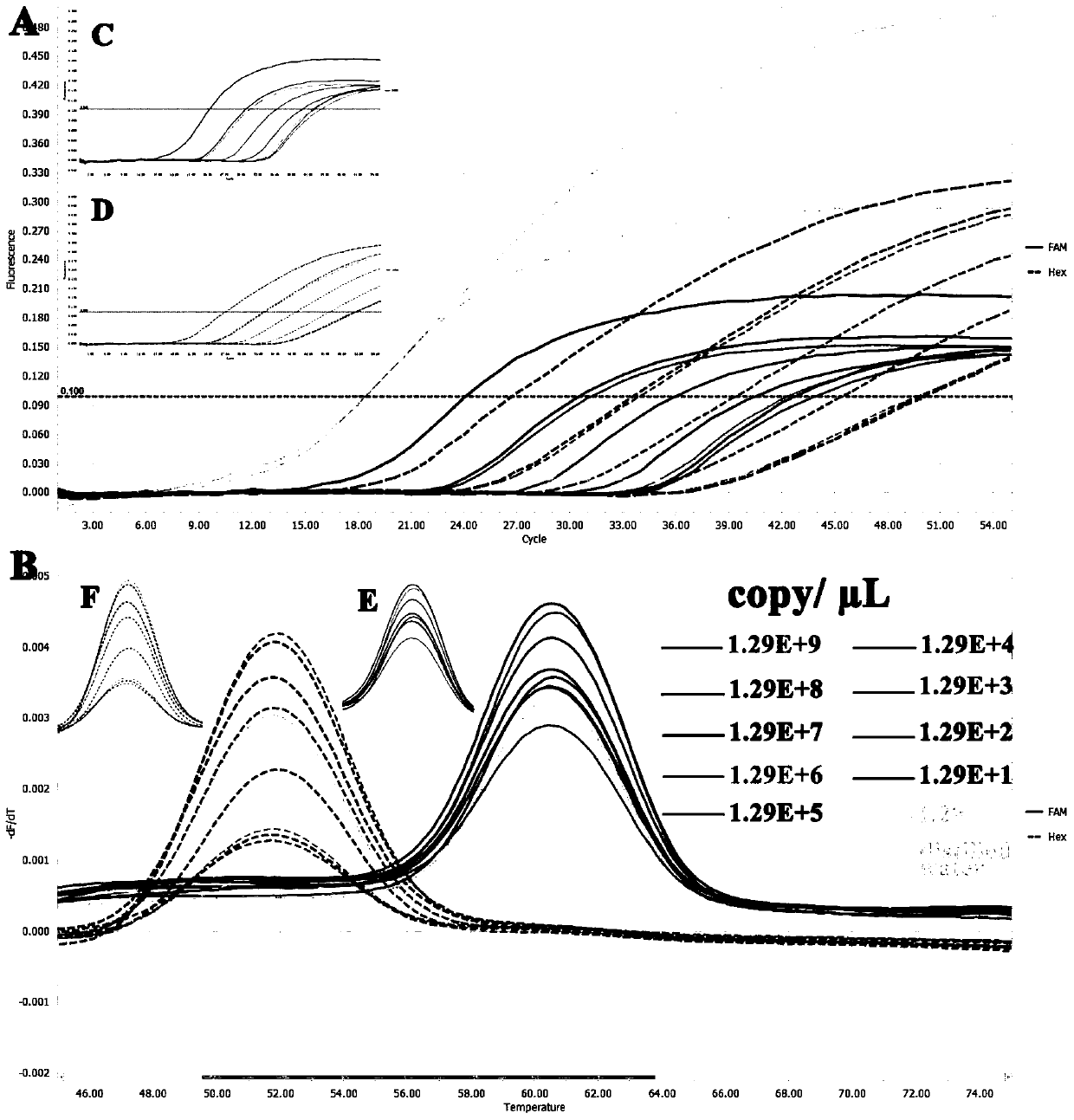 A two-color fluorescent PCR primer, probe and method for rapidly distinguishing canine parvovirus vaccine strains from wild strains