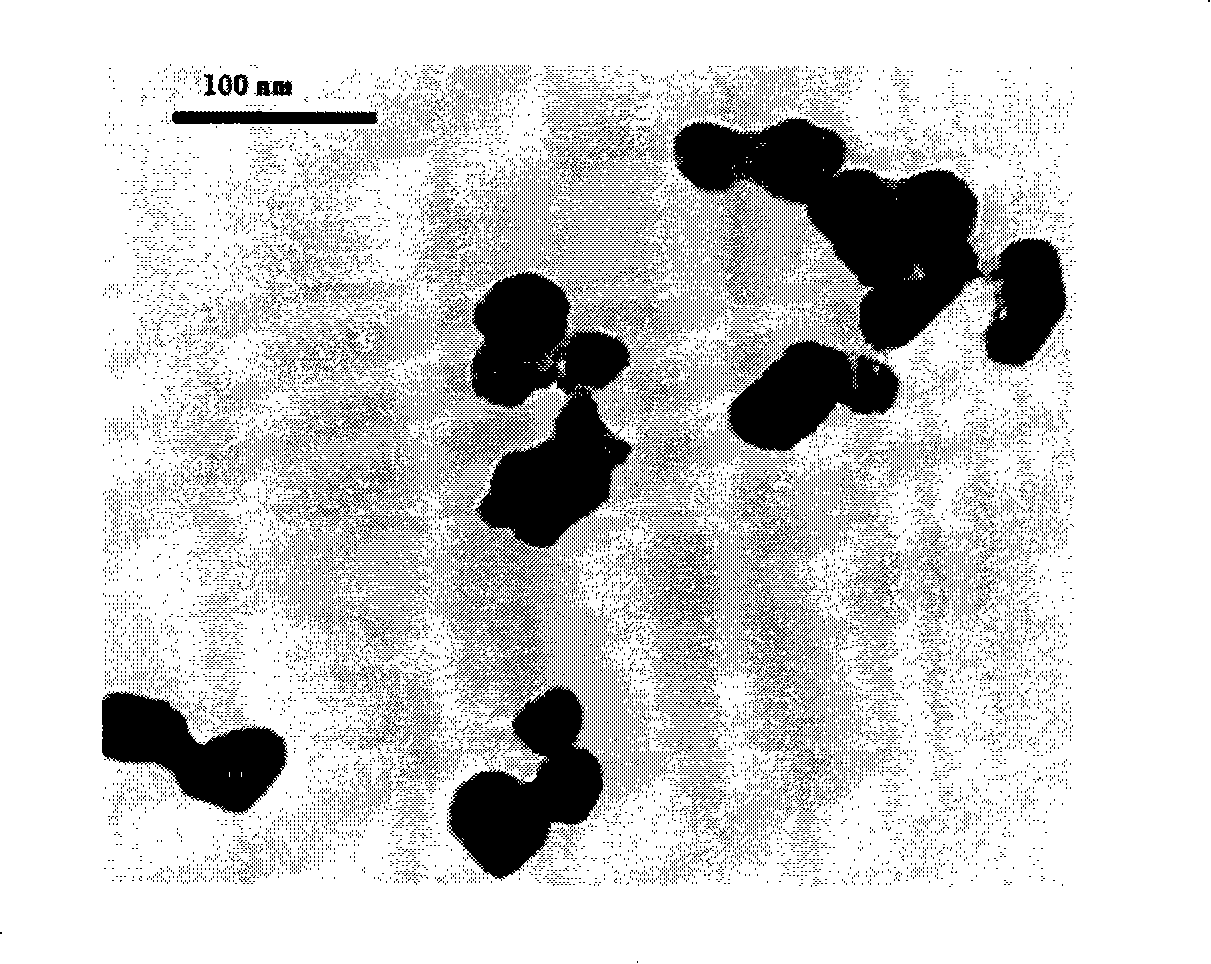 Method for preparing gold magnetic core-shell nano-particle