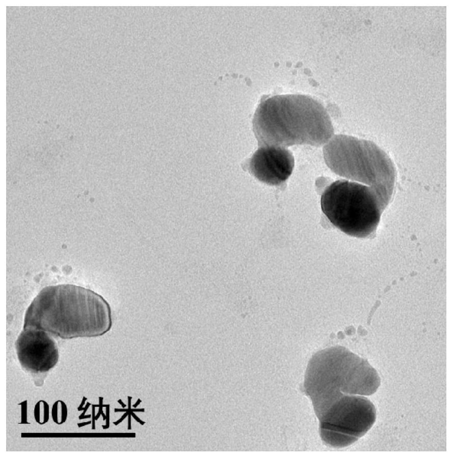 Raman sensing analysis method for detecting enterotoxin