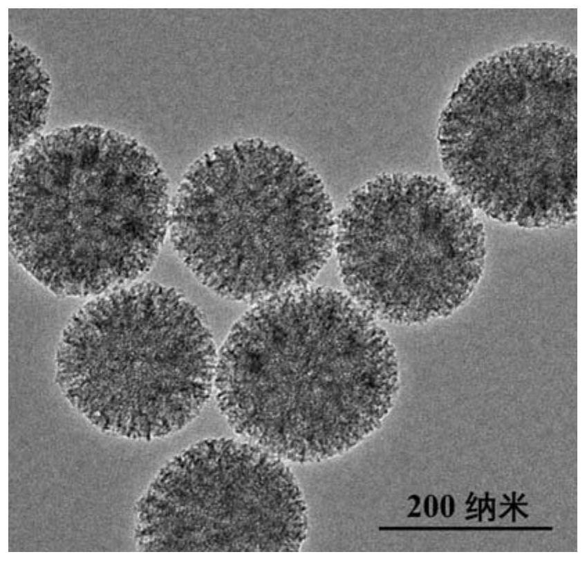 Raman sensing analysis method for detecting enterotoxin