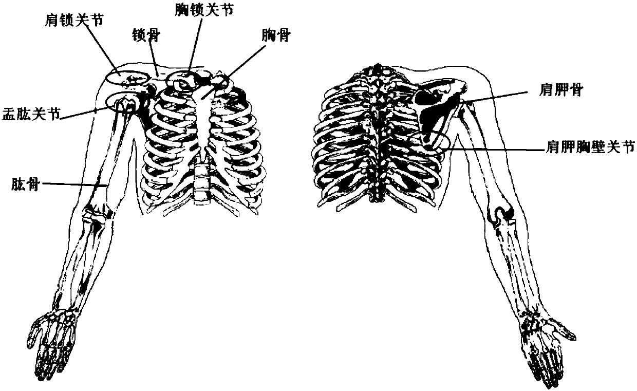 Information detection system for rotation center movement of glenohumeral joint of human shoulder