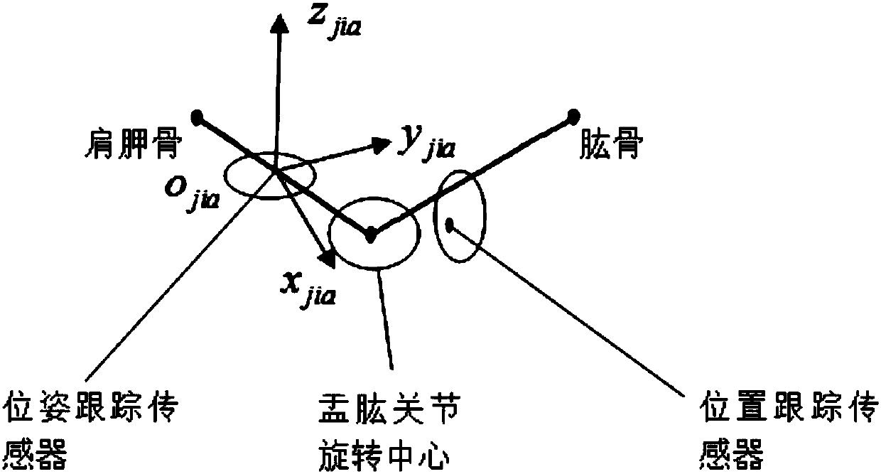 Information detection system for rotation center movement of glenohumeral joint of human shoulder