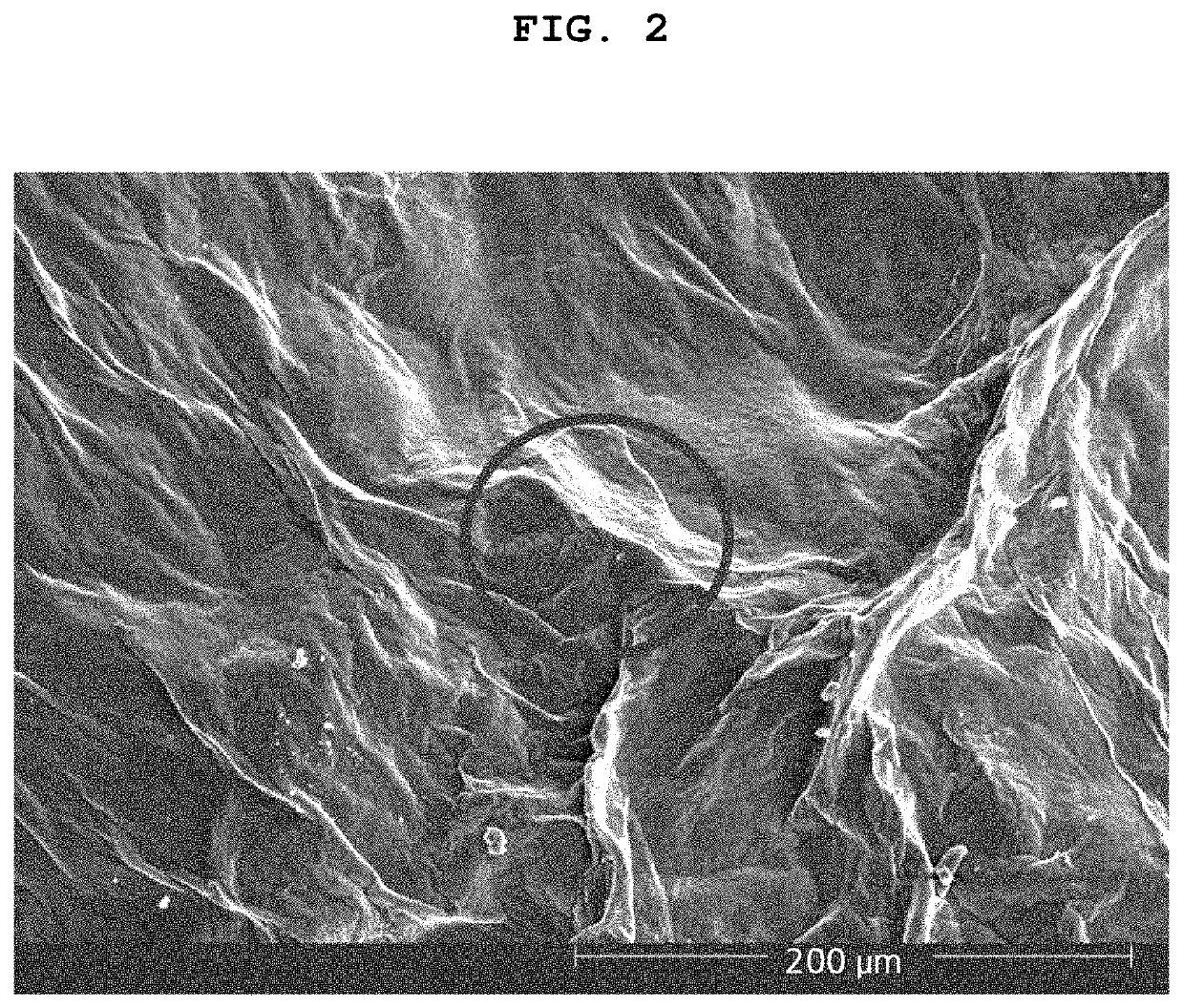 Antioxidant for electrolyte membrane of fuel cell and method for preparing the same