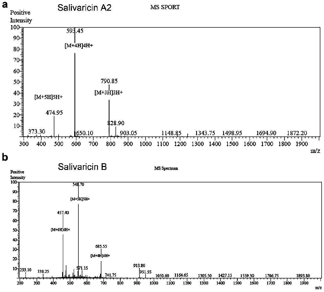 Application of salivaricin in preparation of medicines for preventing and/or treating autoimmune diseases