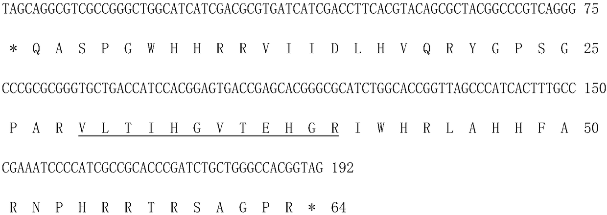 Coding gene of Mycobacterium tuberculosis H37Rv and use thereof