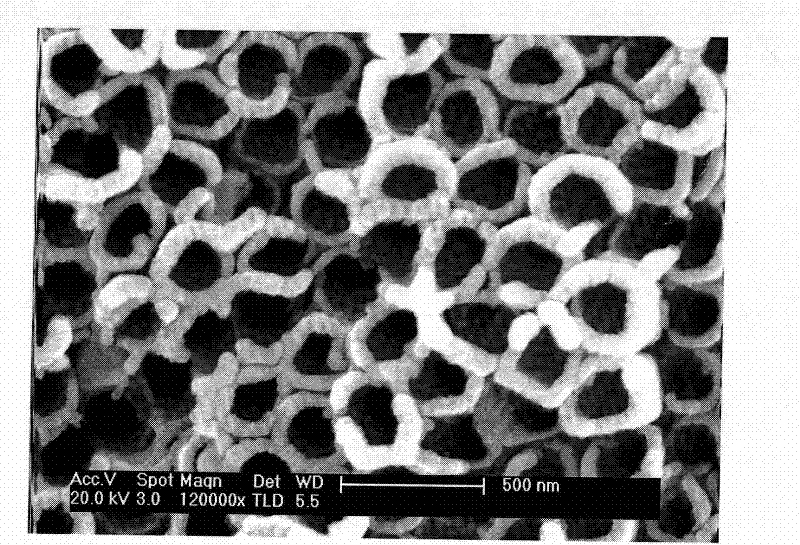 Trace element selenium slow-release type artificial tooth root based on nanometer tube array surface