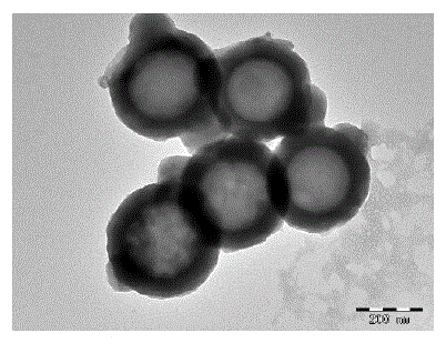 Novel nano-drug with tumor treatment action and preparation method