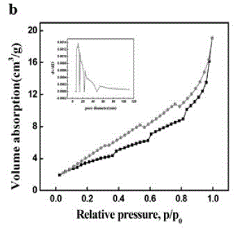 Novel nano-drug with tumor treatment action and preparation method