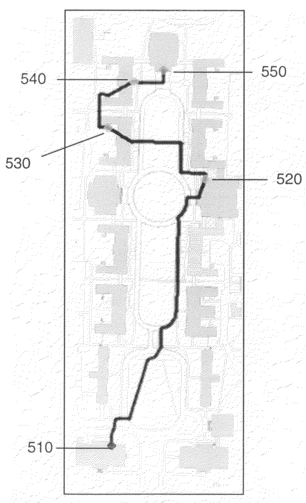 Pedestrian mapping system