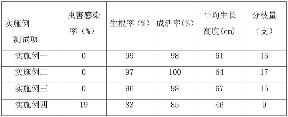 Wood-plastic composite material for ornamental bamboo cultivation device and preparation method thereof