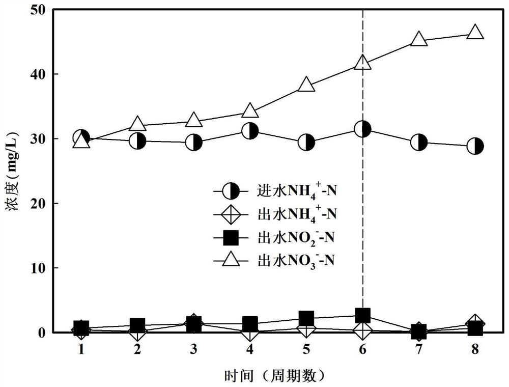 Method for retaining ammonia nitrogen by using polylysine in biological sewage treatment process