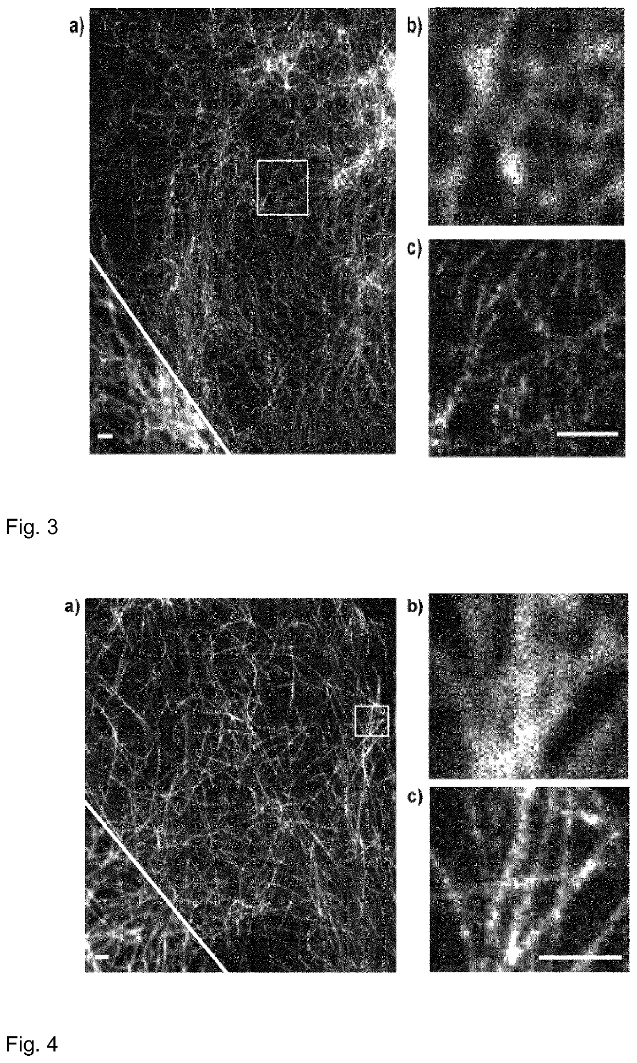 Cell-penetrating fluorescent dyes with secondary alcohol functionalities