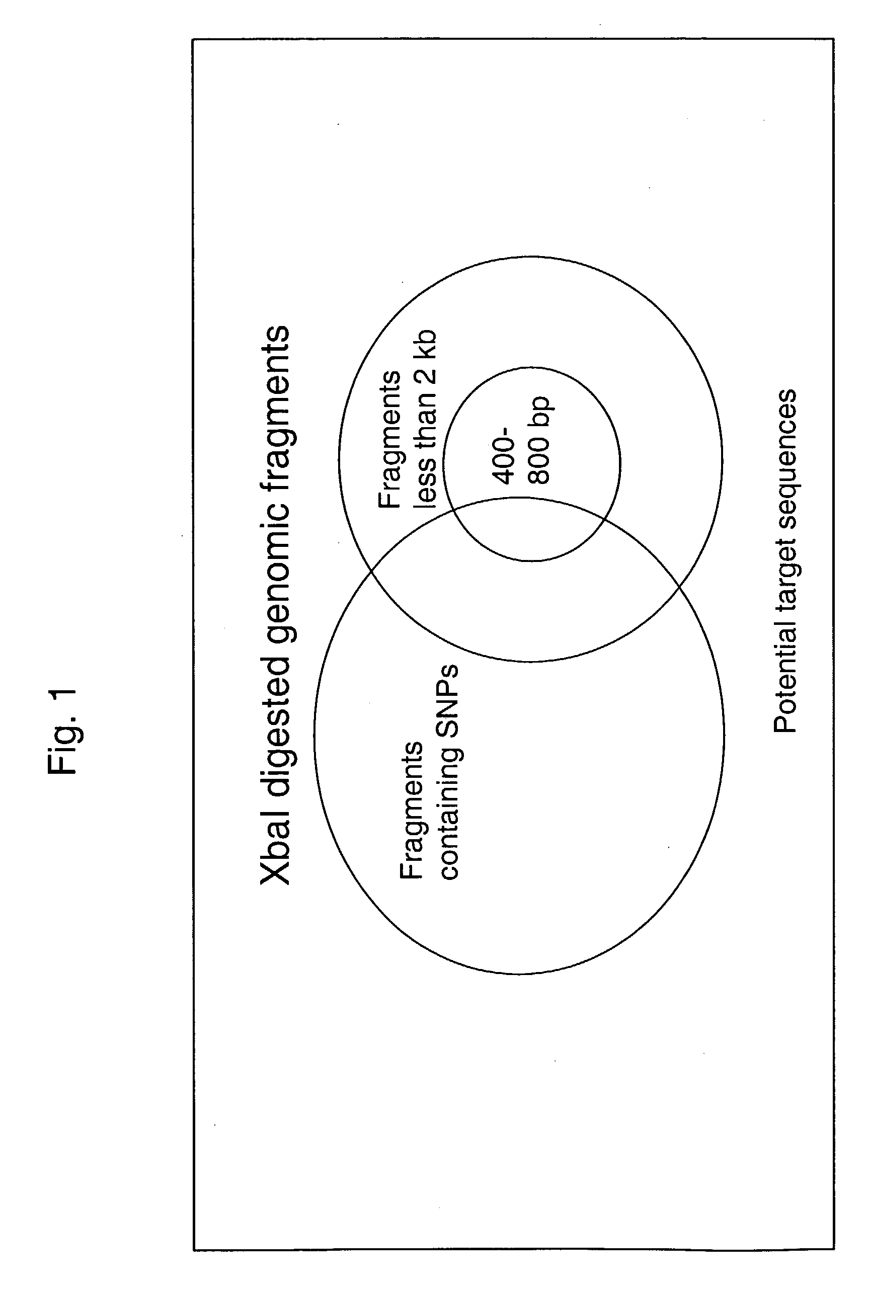 Methods for genotyping