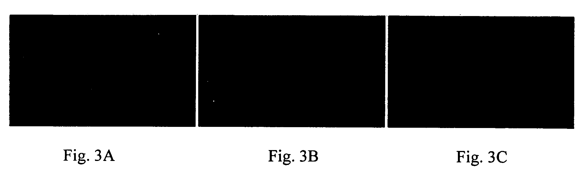 Anti-aging treatment using copper and zinc compositions