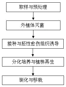 A kind of indica-japonica hybrid rice anther culture method