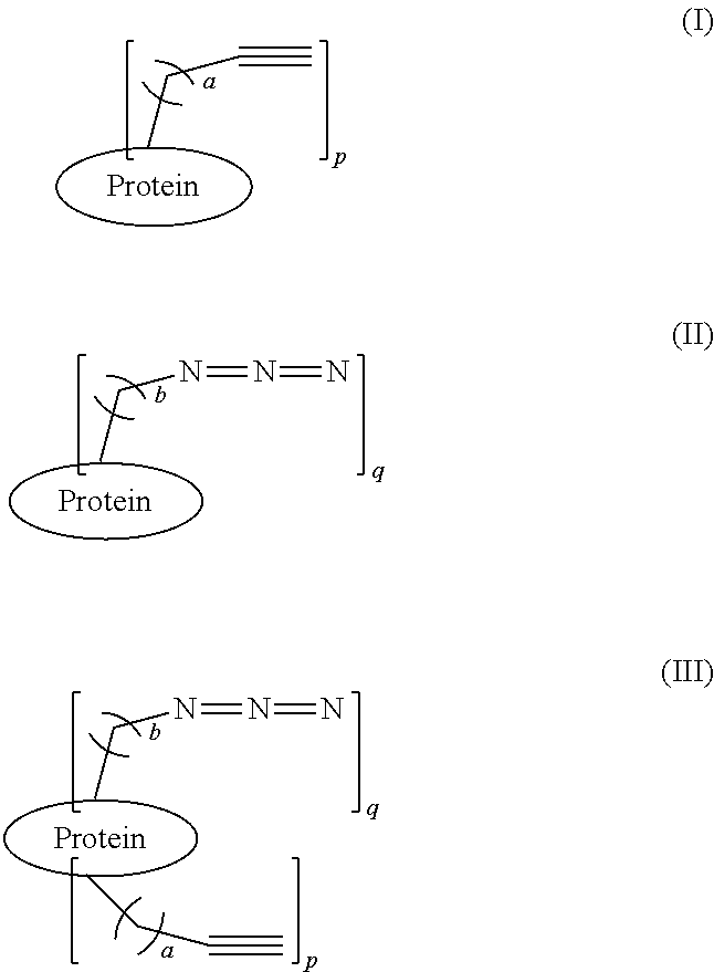 Protein Glycosylation