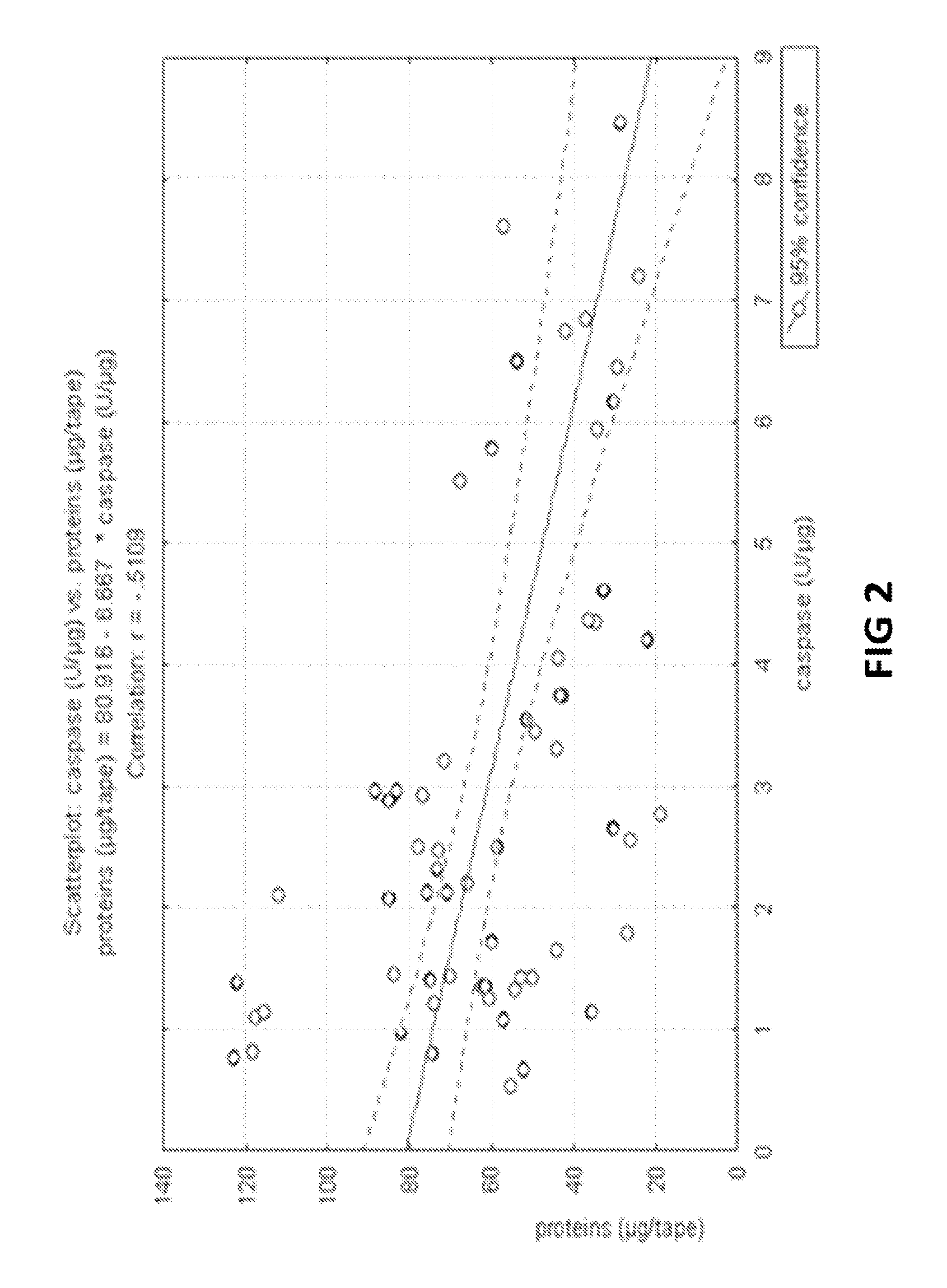 Method for cosmetically treating caspase-14 deficiency