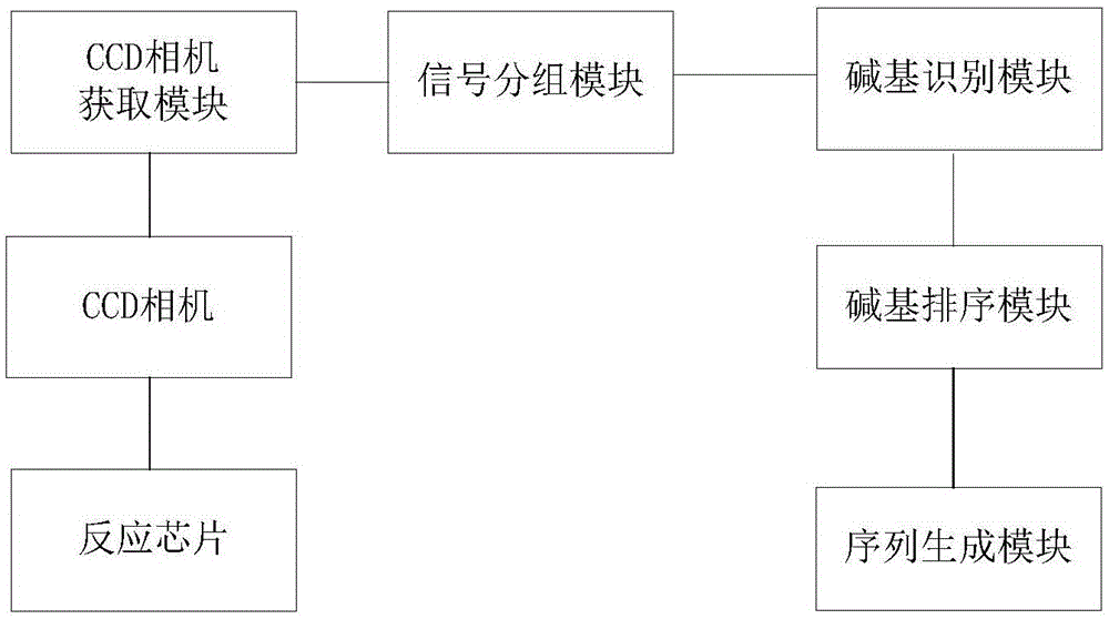 System for processing DNA sequencing images pre-grouped according to similarity