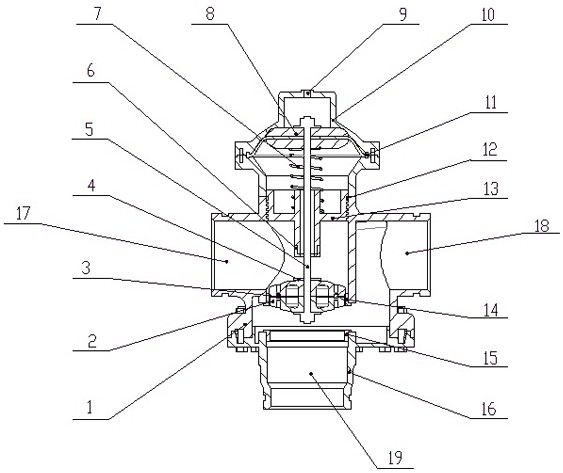 Backwashing valve