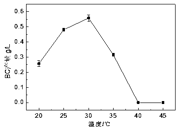 Method of utilizing rice bran hydrolysate fermentation to prepare bacterial cellulose