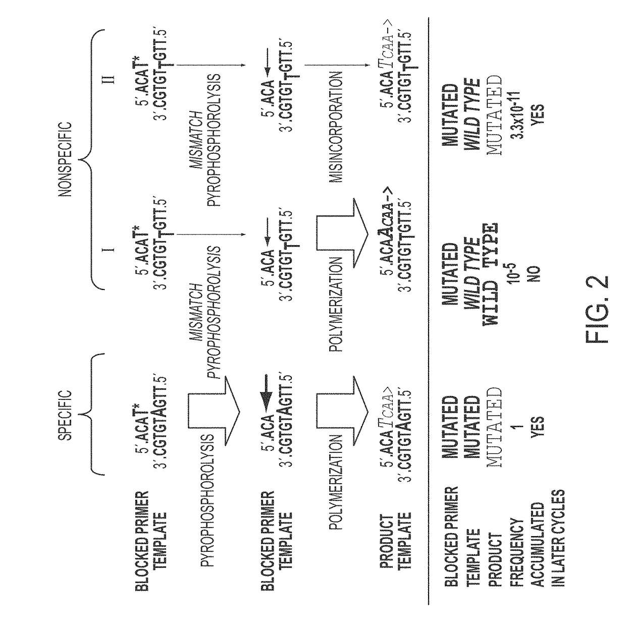 Ultra-high sensitive monitoring of early transplantation failure