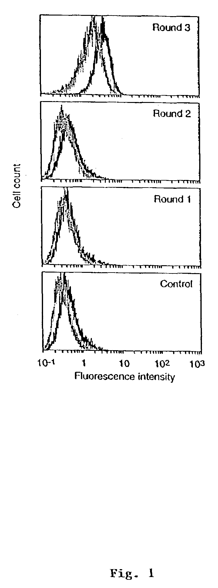 Antibodies for cancer therapy and diagnosis