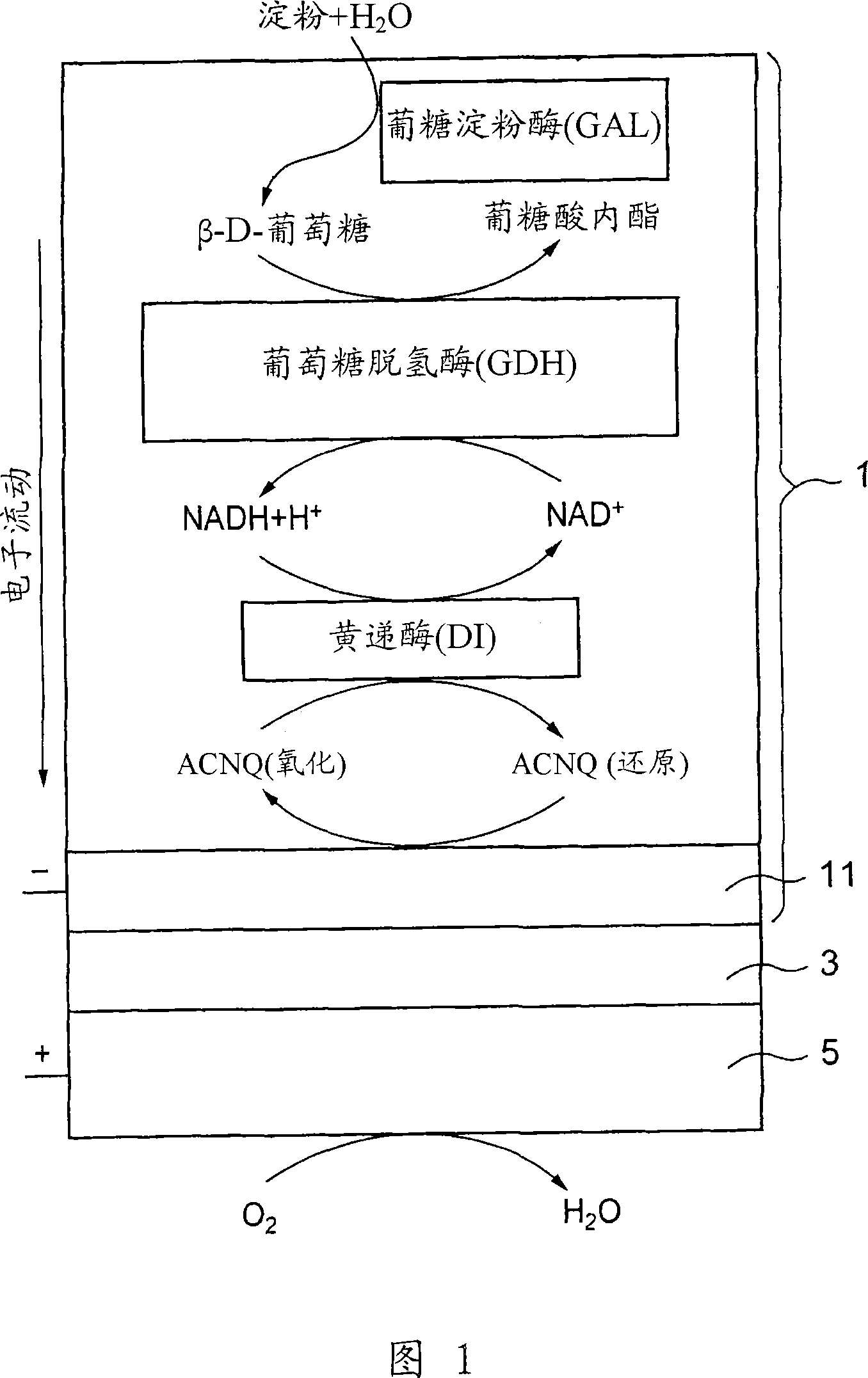 Fuel cell, electronic equipment, movable body, power generation system and cogeneration system