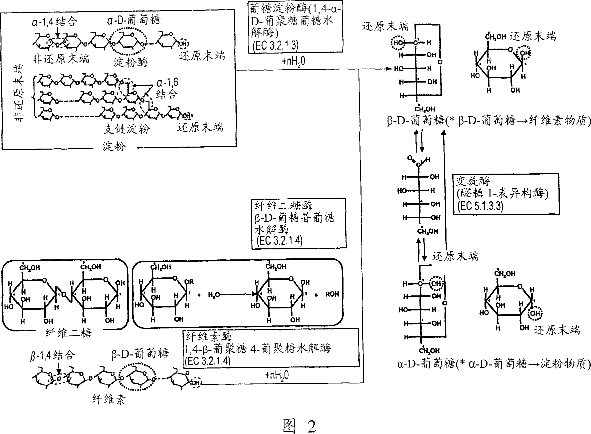 Fuel cell, electronic equipment, movable body, power generation system and cogeneration system