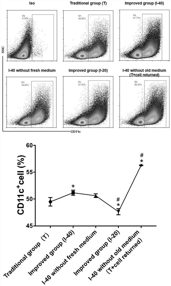 Mouse bone marrow dendritic cell induction and purification method