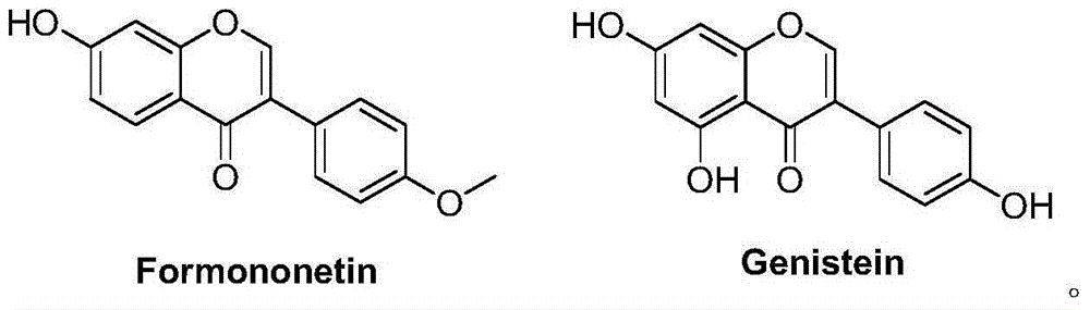 Preparation process of botanical insecticide capable of preventing and treating maize weevil