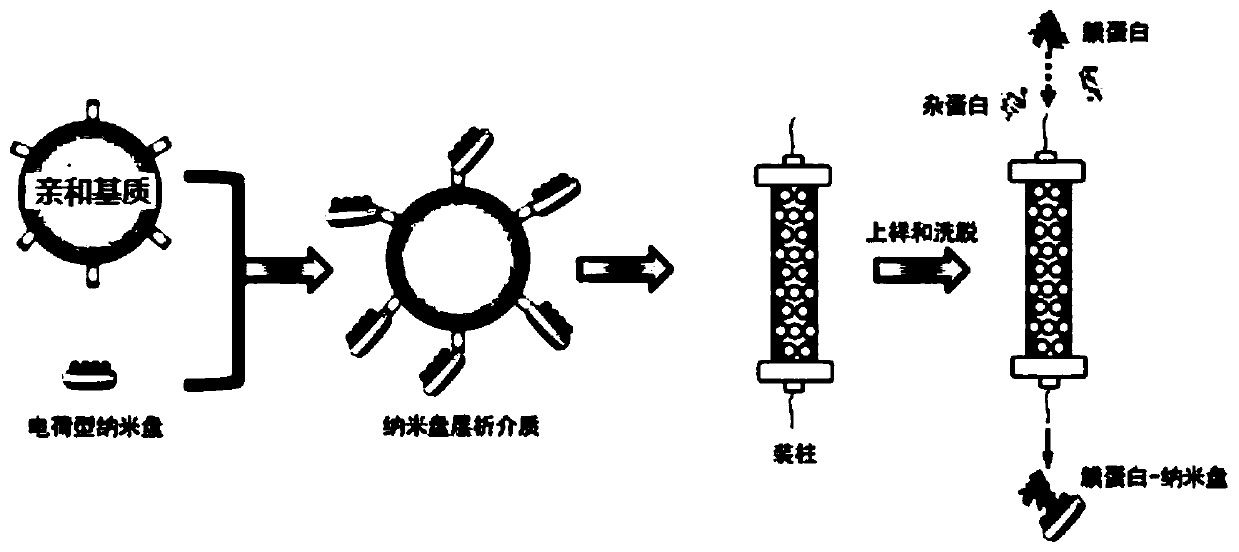 Phospholipid nano-disk chromatography medium and preparation method and application thereof