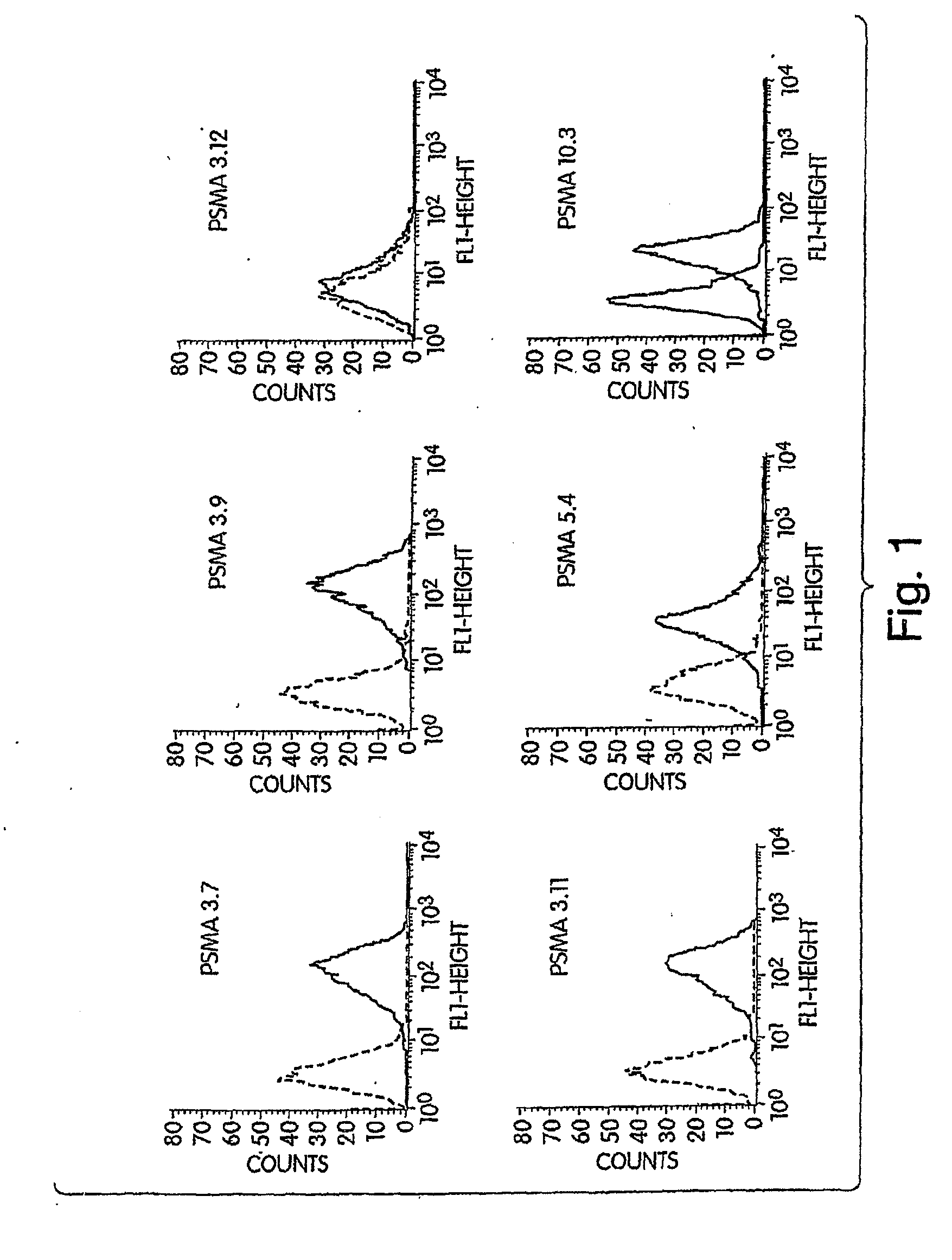 Psma antibodies and uses thereof