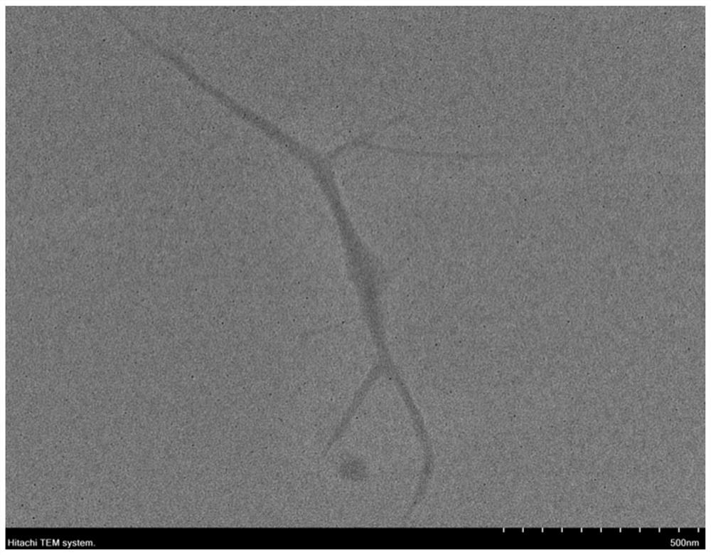 A kind of preparation method of chitosan nanofiber