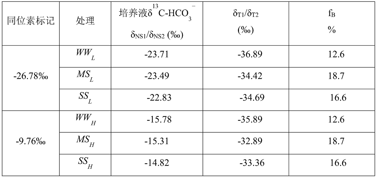 Method for measuring utilization portion and practical water demand of indoor plant metabolic water