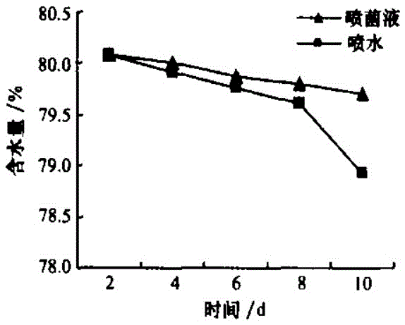 Desert oligotrophic bacterium DOB153 and application thereof to sand stabilization