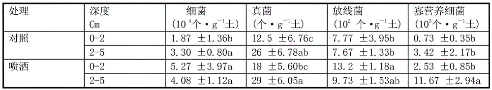 Desert oligotrophic bacterium DOB153 and application thereof to sand stabilization